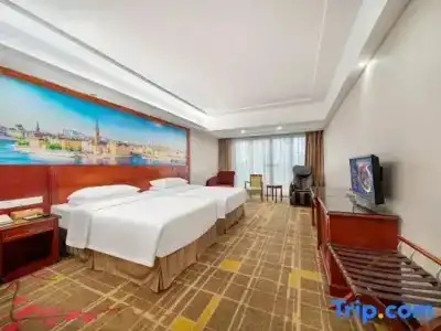 Vienna Dongguan Hou street Wanda Plaza - 29