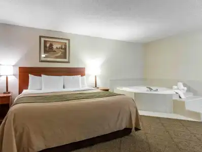 Comfort Inn at the Zoo - 27