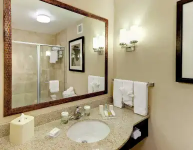 Hilton Garden Inn El Paso Airport - 7