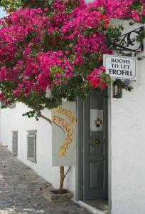 Pension Erofili - 21
