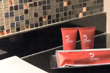 The 5 Elements - 72