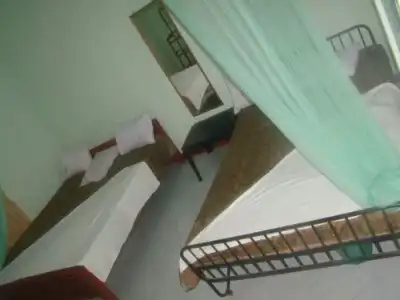 Alp Guest - 3