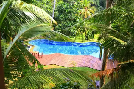 Jungle Village By Thawthisa - 11