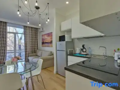 Opera Apartments Almaty - 359