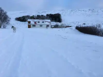 Öndólfsstaðir Farm B&B - 17