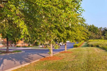 Sonesta Simply Suites Charlotte University - 16
