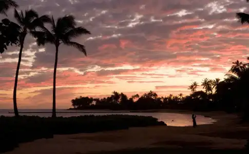 The Kahala & Resort - 15