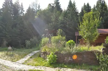 Zarinok - 27