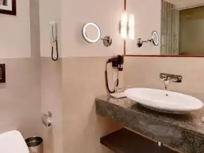 The Golden Palms & Spa Delhi - 36
