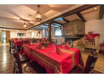Lion Borovets - 25
