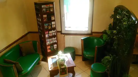 Hôtel Cactus - 11
