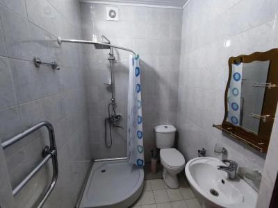 Guesthouse White Swan - 9