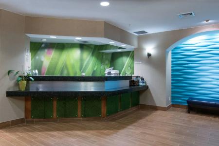 SpringHill Suites by Marriott Greensboro - 1