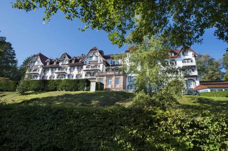 Das Palmenwald Schwarzwald, BW Signature Collection - 16