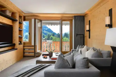 Park Gstaad - 49