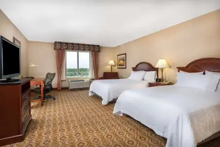 Hilton Garden Inn Florence - 5