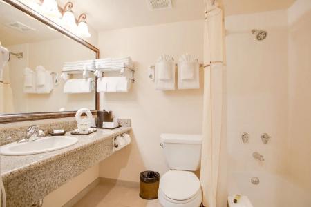 Castle Inn and Suites - 7