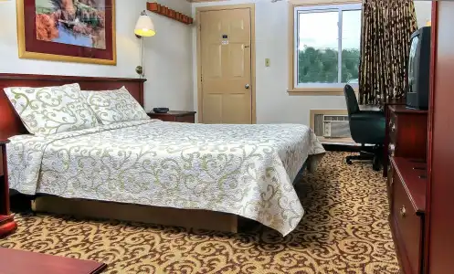 Happy Bear Motel - 18