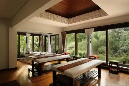 The Samaya Ubud - 7