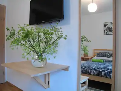 Guesthouse Bor - 3