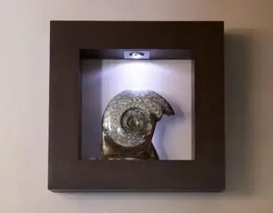 Boutique Nautilus - 39