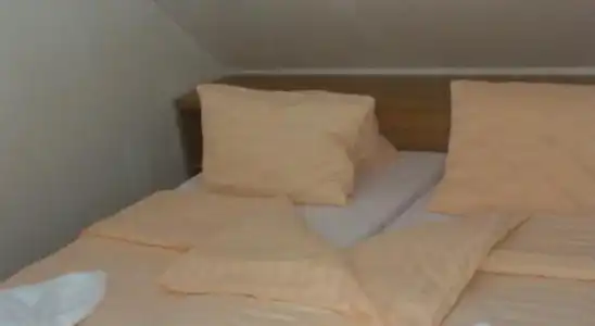 Devin - 2