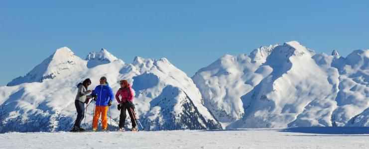 Alpen Corona - 19