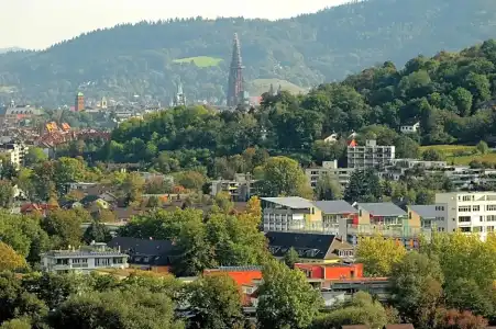 Schwärs Löwen Freiburg - 8