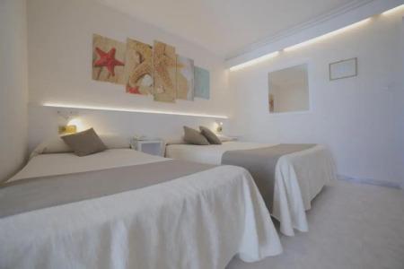 Medium Claramar - 80