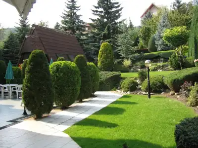 Molnár - 69