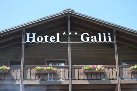 Galli - 0