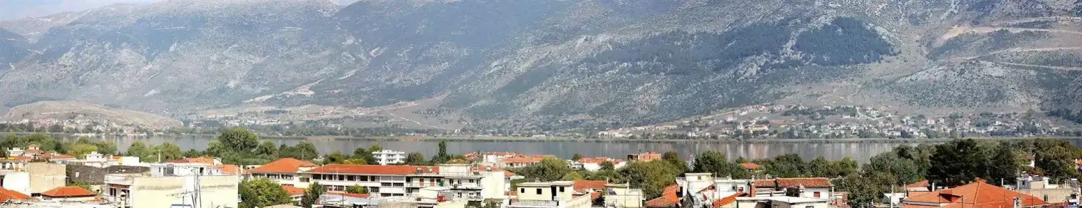 Grand Palladion - 14