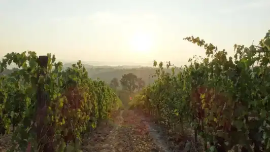 Agriturismo Montegonfoli - 59