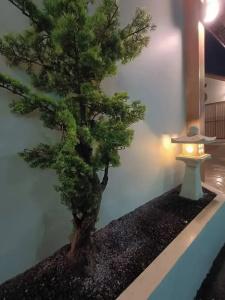 SK Resort - 5