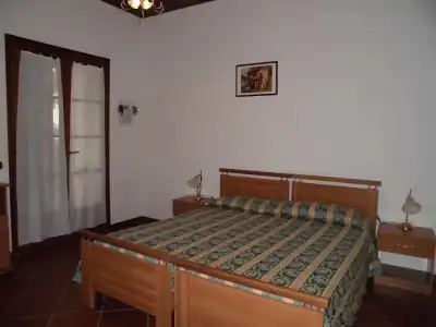 B&B Il Vigneto - 2