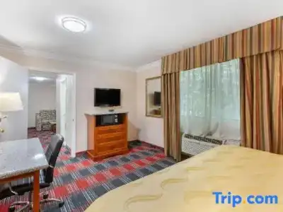 Quality Inn & Suites Oceanside near Camp Pendleton - 49