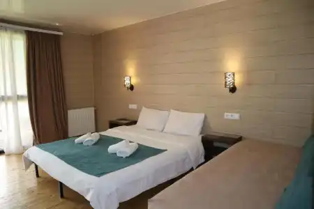 Kazbegi Cottages - 16