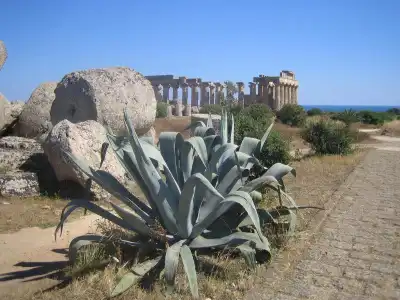 La Rosa - Selinunte - 17