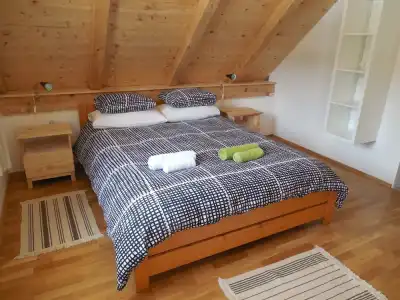 Guesthouse Bor - 23