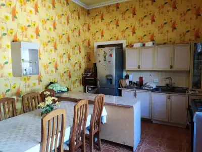 Green House - 49