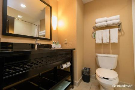 Comfort Inn & Suites Dallas Medical - Market Center - 7