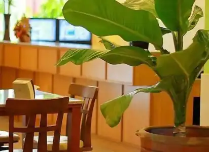 Cozy Villa - 20