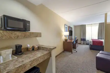 Comfort Suites Fredericksburg North - 5