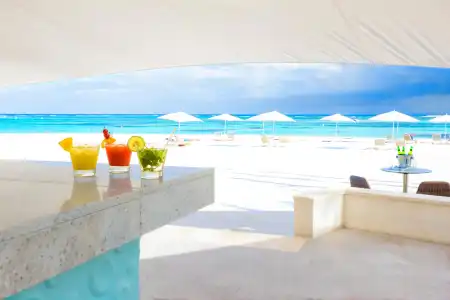 The Westin Puntacana Resort & Club - 23