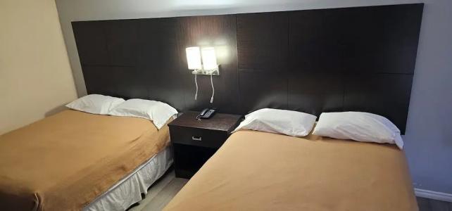 Town N Country Motor Inn - 45