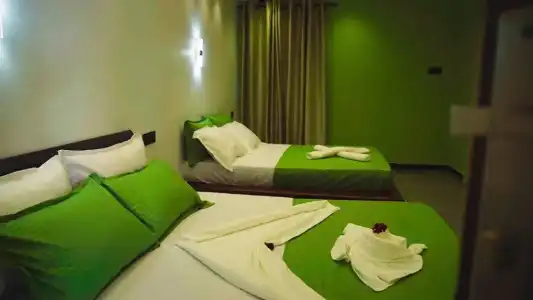 Green Garden - 58