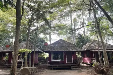 Pang Mai Resort - 79