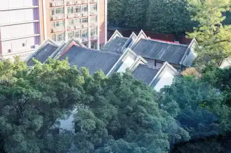 Fushang Guangzhou Yuexiu Park - 30