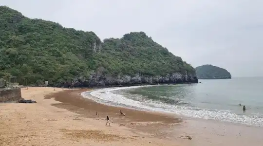 Tung Quang - 17