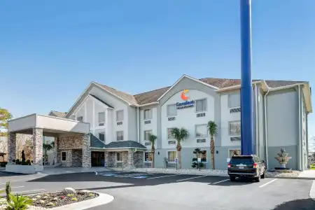 Comfort Inn & Suites Macon North I-75 - 23